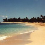 1988　ハワイ旅行記　新婚時代のハワイ旅行　オアフ島一周