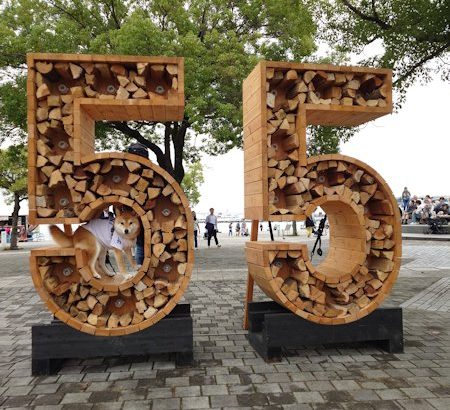 ヨコハマハンドメイドマルシェ秋＆YOKOHAMA GOGO DOG FES🐶　2025.11.1